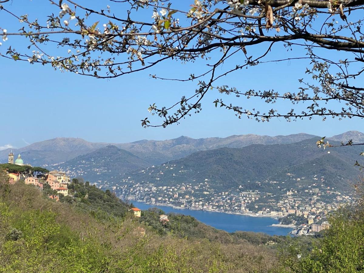 Liguria Home 4 Recco Exterior foto